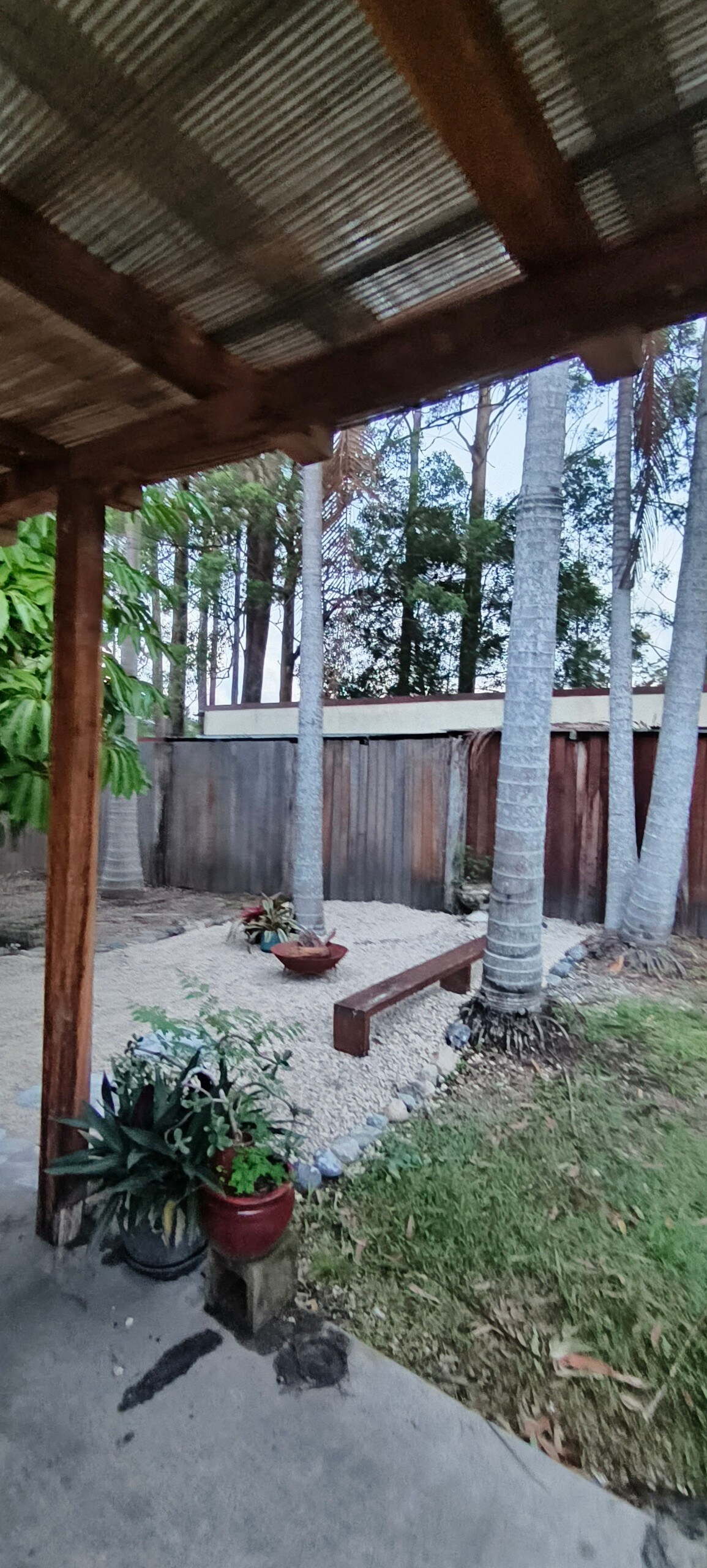 Cosy Palms Cottage Pet Friendly enclosed yard - Photo 11