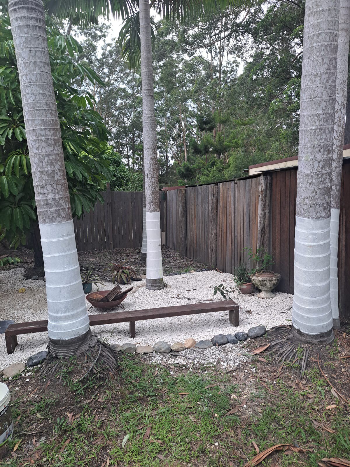 Cosy Palms Cottage Pet Friendly enclosed yard - Photo 16